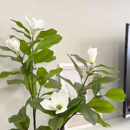 2k - Junto Al Casco Viejo Апартаменты